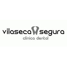 Vilaseca Segura Dental - логотип
